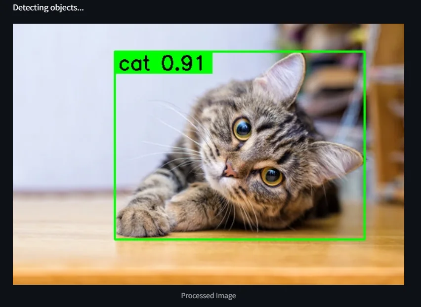 YOLO object detection result identifying a cat with 91 percent confidence