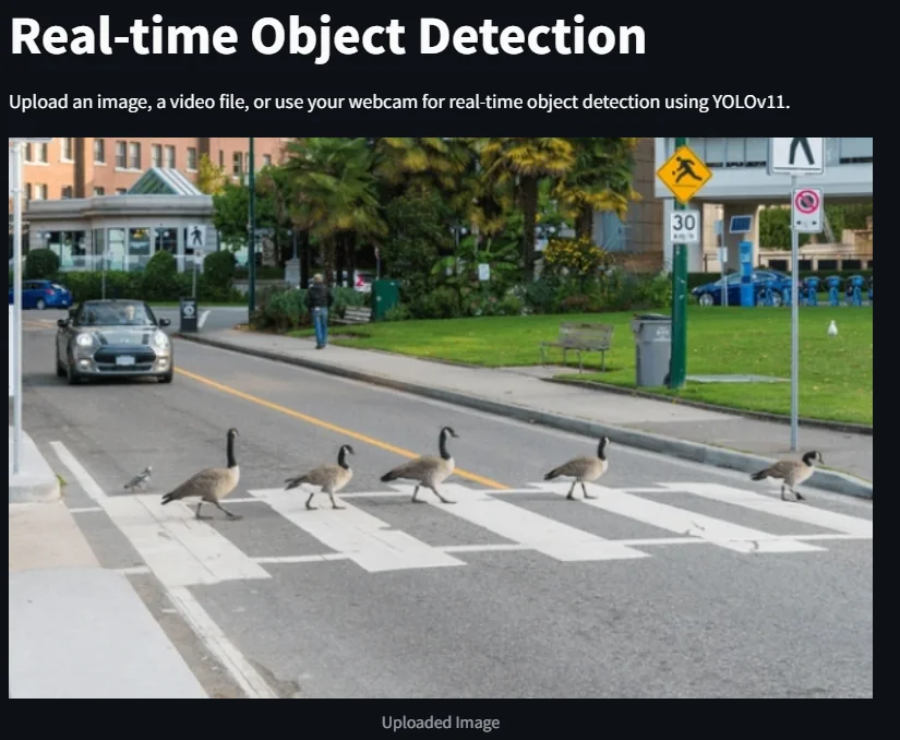 Object detection application showing geese crossing a city street